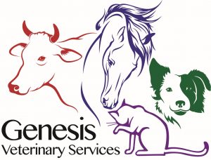 Genesis Veterinary Services Vet in Rockhampton
